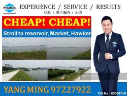 Blk 403 Pandan Gardens (Jurong East), HDB 5 Rooms #106976452